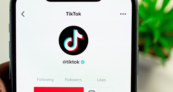 заработок на видеоконтенте тик тока